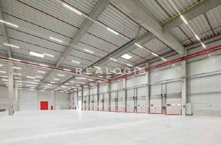 Gewerbeimmobilie mieten in 92533 Wernberg-Köblitz, Wernberg-Köblitz, ca. 4.000 m² projektierte Logistikhallenfläche zu vermieten