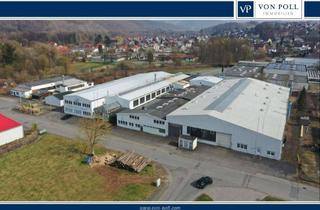 Gewerbeimmobilie kaufen in 37431 Bad Lauterberg, Gewerbe, Logistik- und Industriehallen mit Aussenbereichen und ca. 6.800 m² vermietbarer Fläche
