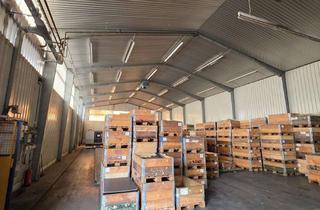 Gewerbeimmobilie mieten in Ohsenerstr 79-83, 31789 Hameln, 1250qm sep Halle