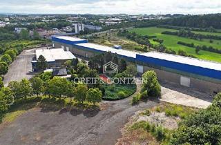 Gewerbeimmobilie kaufen in 54634 Bitburg, Gewerbegrundstück mit Hallen- und Büroflächen an der B51 | Greif & Contzen