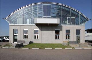 Gewerbeimmobilie mieten in 89269 Vöhringen, Architektonisches Highlight am Autobahnzubringer