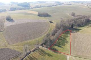 Grundstück zu kaufen in Seebacher Weg, 84405 Dorfen, Landwirtschaftliche Fläche Nähe Oberdorfen