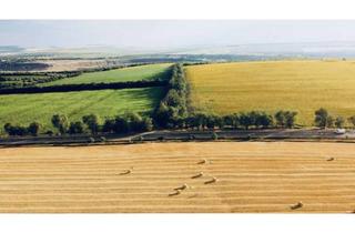 Gewerbeimmobilie kaufen in Gemarkung Haltingen, 79576 Weil am Rhein, Landwirtschaftliches Acker-/Grünland zum Verkaufen