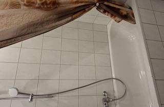 Wohnung mieten in Halbergstr, 67061 Ludwigshafen, Zwei Zimmer dachgeschoswohnug