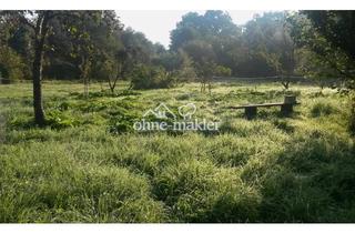 Garagen kaufen in Berliner Chausee, 16359 Biesenthal, 4.340 m² Grundstück direkt am Fließ bei Biesenthal – nahe Berlin / Besichtigung limitiert