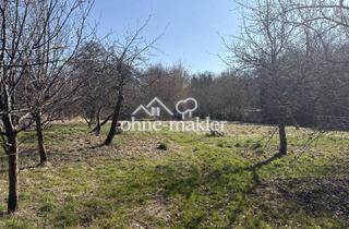 Garagen kaufen in Berliner Chausee, 16359 Biesenthal, Naturgrundstück mit hohem Potenzial für Selbstversorgung & Rückzug in Biesenthal