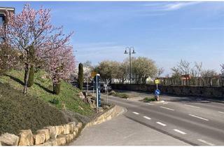 Haus kaufen in 67273 Herxheim am Berg, Herxheim am Berg - Zwei Häuser mit Weinbergsblick - sanierungsbed. Schmuckstück