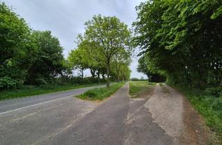 Einfamilienhaus kaufen in 24768 Rendsburg, Rendsburg - Paradiesische - traumhafte Lage! Schönes Einfamilienhaus!