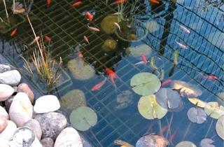 Doppelhaushälfte kaufen in 89584 Ehingen, Ehingen (Donau) - Wohnen wie im Urlaub DHH Zu verkaufen oder Haus Mieten