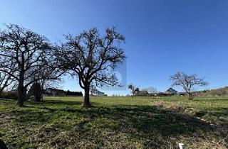 Grundstück zu kaufen in 54533 Oberöfflingen, Oberöfflingen - VOLL ERSCHLOSSEN, SÜD AUSRICHTUNG, NEUBAUGEBIET