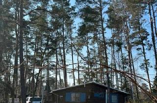 Haus kaufen in 38524 Sassenburg, Sassenburg - einein Haus am See