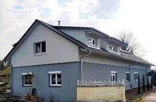 Haus kaufen in 77974 Meißenheim, Meißenheim - Zweifamilienhaus mit Pferdestall und vielen Extras