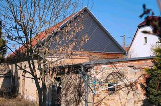 Einfamilienhaus kaufen in 04509 Delitzsch, Delitzsch - Einfamilienhaus Lehmhaus Bauernhaus
