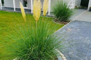 Wohnung kaufen in 28844 Weyhe, Weyhe - Hochwertiges Haus 5 Jahre alt auf Campingplatz mit Erstwohnsitz