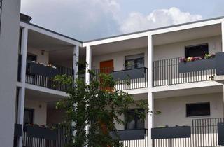 Wohnung kaufen in Wilhelmstraße 32, 68623 Lampertheim, BETREUTES WOHNEN in Lampertheim!