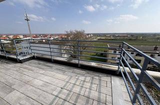 Penthouse mieten in 67098 Bad Dürkheim, Exklusives Penthouse mit großer Dachterrasse & Weinbergblick – Erstbezug nach Sanierung