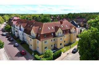 Wohnung mieten in Altschloßstraße, 06749 Bitterfeld-Wolfen, Schicke 2-Raumwohnung im Erdgeschoss mit Einbauküche, in unmittelbarer Nähe des Großen Goitzschesees