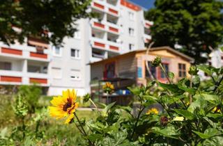 Wohnung mieten in Hanoier Straße 59, 06132 Silberhöhe, Endlich schön Wohnen... 8 Zimmer in der vierten Etage