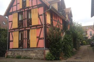 Wohnung mieten in Daubringer Str. 17, 35418 Buseck, Neuwertiges 2-Zimmer-App. mit Einbauküche in Buseck/Alten-Buseck