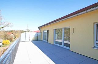 Wohnung mieten in 86899 Landsberg, Einzigartige und großzügige Dachterrassen-Wohnung (Erstbezug n. Kernsanierung) in Landsberg a.L.
