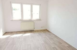 Wohnung mieten in Engelswachter Straße, 18519 Miltzow, Gemütliche 1-Raum-Wohnung in Reinkenhagen zu vermieten