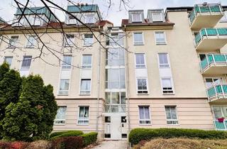 Wohnung mieten in Gerhardt-Hauptmann-Str. 12, 39108 Stadtfeld Ost, Helle, großzügige, 2-Zimmer-Whg. in Stadtfeld mit Balkon