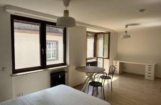 Wohnung mieten in 79098 Altstadt, Schöne, möblierte 1-Zimmer-Wohnung mitten in Freiburg im Breisgau - provisionsfrei
