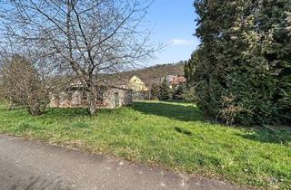 Bauernhaus kaufen in 55608 Becherbach, Becherbach bei Kirn: Bauernhaus mit großzügigem Grundstück und vielfältigem Entwicklungspotenzial