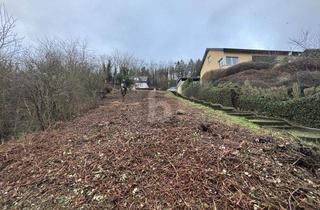 Grundstück zu kaufen in 54470 Lieser, TOP LAGE + PREIS, 2 GRUNDSTÜCKE,EINZELVERKAUF