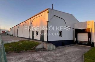 Gewerbeimmobilie mieten in 37574 Einbeck, Moderne Lagerhalle in zentraler Lage zu vermieten