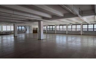 Gewerbeimmobilie mieten in Vorstadtstraße 65, 72351 Geislingen, Lagerfläche mit Option für Einzelhandel