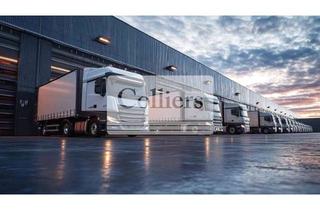Gewerbeimmobilie mieten in 63505 Langenselbold, NEUABU: Logistikflächen an der A45 - PROVISIOSNFREI