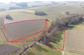 Grundstück zu kaufen in Seebacher Weg, 84405 Dorfen, Landwirtschaftliche Fläche Nähe Oberdorfen