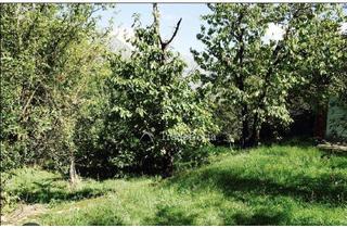 Grundstück zu kaufen in 68259 Feudenheim, Baugrundstück in Mannheim-Feudenheim (Am Aubuckel) – MFH-Neubau möglich – Konzeptverkauf