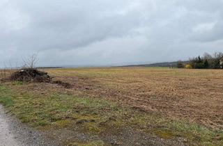 Grundstück zu kaufen in 09385 Erlbach-Kirchberg, Baugrundstück in Erlbach Kirchberg