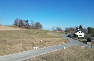 Grundstück zu kaufen in 95191 Leupoldsgrün, Supersonniges Grundstück in Leupoldsgrün