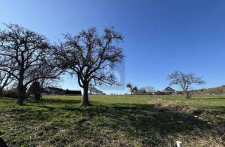 Grundstück zu kaufen in 54533 Oberöfflingen, VOLL ERSCHLOSSEN, SÜD AUSRICHTUNG, NEUBAUGEBIET