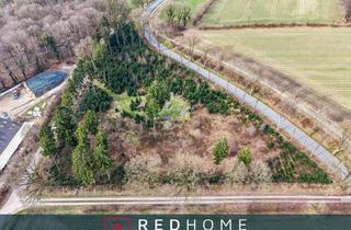 Immobilie kaufen in 24594 Grauel, Attraktives Forstgrundstück mit Nordmanntannenbestand