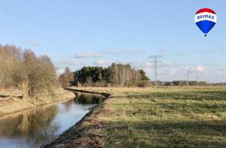 Grundstück zu kaufen in 14621 Schönwalde-Glien, Ihr neues Zuhause beginnt hier – Baugrundstück in ruhiger Lage von Schönwalde-Glien