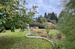 Grundstück zu kaufen in 12621 Berlin, Ihr Bauplatz im Grünen Kaulsdorf Süd