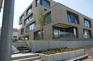 Wohnung mieten in Maienweg 12.1, 89081 Söflingen, Kompakte 2 Zi- Wohnung in ruhiger exklusiver Lage in Ulm- Söflingen