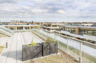 Wohnung mieten in Talstraße 3a, 13189 Pankow, Immergrün - 2 Zimmer mit Balkon und privater Dachterrasse
