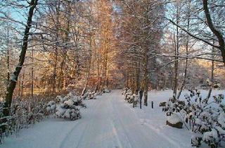 Wohnung mieten in Deepenstegen 13, 22952 Lütjensee, Frisch sanierte 3,5-Zimmer Erdgeschosswohnung mit Garten in Lütjensee