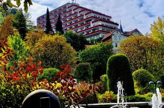 Wohnung mieten in Hotelstraße, 37539 Bad Grund, Tolle Wohnung im HARZ+Vollausstattung+Küche+WARM+Bad Grund+Balkon+Hell+Aussicht+ nur Strom anmelden