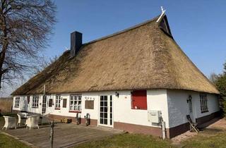 Haus kaufen in 25554 Nortorf, Weitblick garantiert! Reetdachanwesen mit 2 Wohneinheiten in herrlicher Alleinlage Nähe Wilster