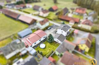 Einfamilienhaus kaufen in 93098 Mintraching, Großzügiges Einfamilienhaus mit Halle, Pool und Traumgrundstück in ruhiger Lage von Mintraching