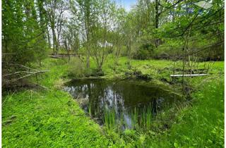 Gewerbeimmobilie kaufen in 86491 Ebershausen, Naturparadies für Ruhesuchende – Waldgrundstück mit Lichtung, eigener Quelle & ca. 5.841 m²