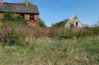 Gewerbeimmobilie kaufen in 39629 Bismark, Für Entwickler - Fläche im Außengebiet