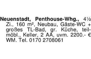 Penthouse mieten in 74196 Neuenstadt, Penthouse-Whg., 4 1/2 Zi., 160 m², Neubau, Gäste-WC + großes TL-
