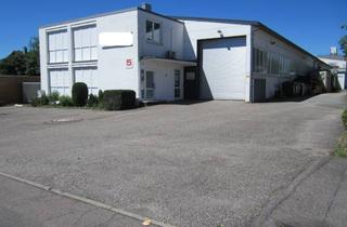 Immobilie mieten in 74360 Ilsfeld, Produktions-/Gewerbehalle mit Büro